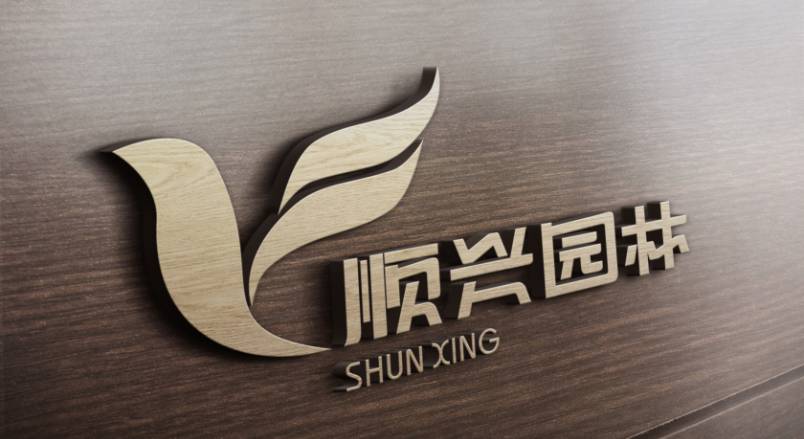 西丰县VI设计：城市品牌蝶变的核心引擎